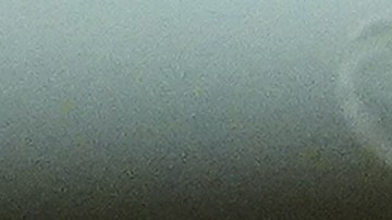 Donald Trump busca por todos los medios evitar presentar sus finanzas.