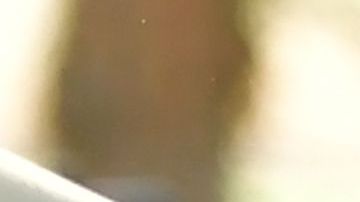 Imagen afuera de la escuela Saugus de Santa Clarita donde ocurrió el tiroteo.