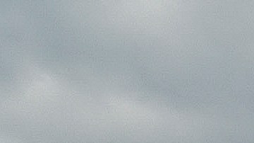 Las mujeres cruzan estados 13 mexicanos para buscar a migrantes en paradero desconocido.