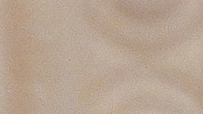 Trumo firmó la ley horas antes de que se cumpliera el plazo.