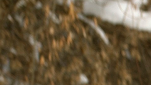 Carros sepultados por la nieve en Denver, Colorado.