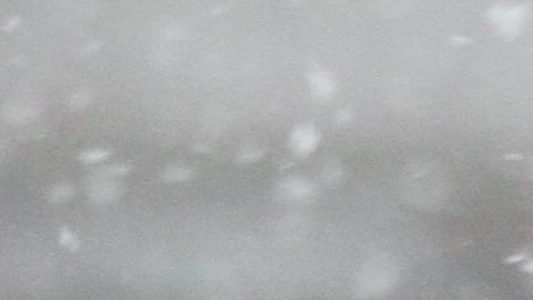 En Nueva York, podría caer nieve entre domingo y lunes.