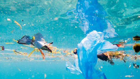 La contaminación de los océanos es preocupante.