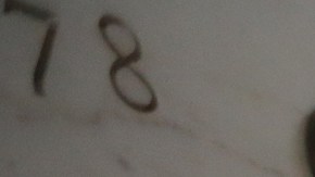 11/01/19 / LOS ANGELES/ Dia de los Muertos celebration at Calvary Cemetery in East Los Angeles (Aurelia Ventura/La Opinión)