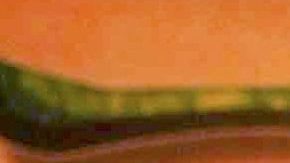 Fernando Reina y Galilea Montijo.