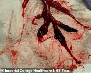 20856780-7672337-a-a-18_1573467493349