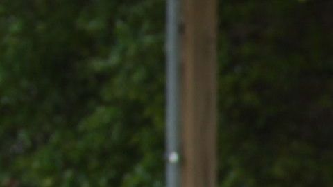ICE busca tener mayor colaboración de autoridades locales.