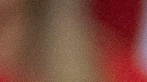 El presidente Trump tiene altas probabilidades de ganar en 2020.