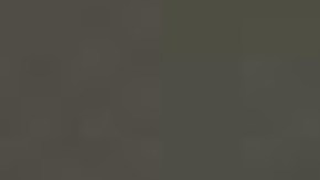 Ambos han estado bajo custodia desde 2018.