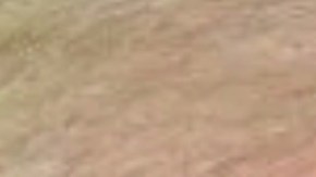 Donald Trump negó haberle pedido a William Barr que lo defendiera.