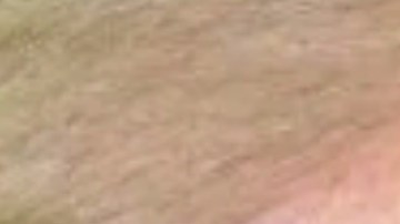 Donald Trump negó haberle pedido a William Barr que lo defendiera.