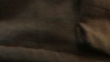 Según un miembro de la familia hay tres arrestados.