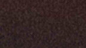 Morales renunció para evitar una escalada de violencia en su país.