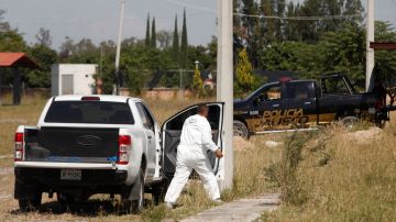 En la misma finca del estado de Jalisco han encontrado 52 bolsas con restos humanos.