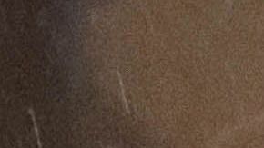 Denuncian saqueos en las ciudades más importantes del país andino.