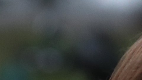 Laura Cooper declaró haber advertido a la casa Blanca los riesgos de la retirada de ayuda militar a Ucrania.