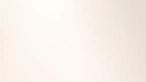 El representante en México de la oficina del Alto Comisionado de la ONU-DH Jan Jarab (d) y la representante del Centro Prodh, Stephanie Erin Brewer (2-d),