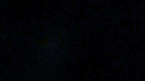 Shakira antes de la final de la Copa Davis