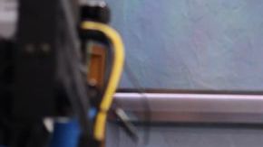 Lili Estefan y Raúl de Molina