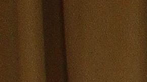 María Celeste Arrarás.