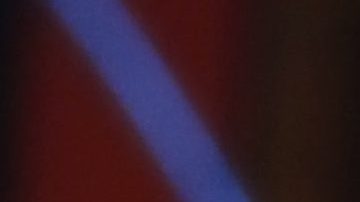 Chiquinquirá Delgado.