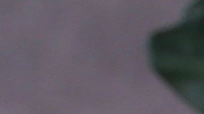 James Tahhan, junto a su esposa.