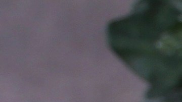 James Tahhan, junto a su esposa.