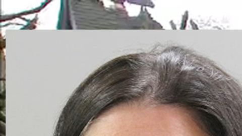 Jennifer Gross (54) y la casa quemada