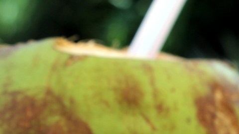 agua de coco-pxhere