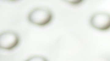 Cómo las decisiones de Trump podrían afectar los precios de la salud y cadenas de suministro