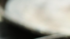 alitas-Eagle_pixabay