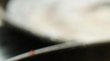 alitas-Eagle_pixabay