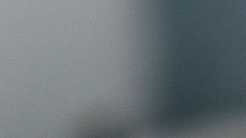 Muchos gatos negros se usan en rituales en este mes.