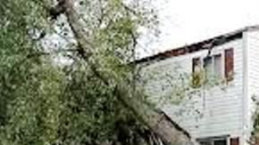 Fue una noche de terror literal en NY