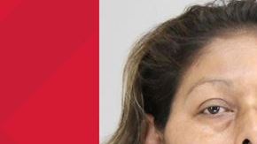 La dueña de los animales fue arrestada e identificada como Martha Yescas.