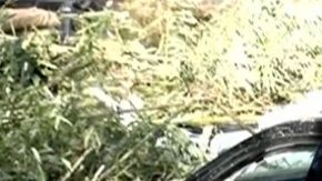 Sumergido en una piscina casera