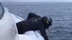 El animal estaba muy entusiasmado por jugar.