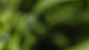 Foto: PxHere