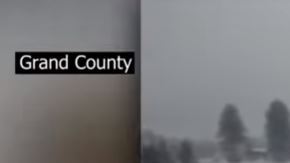 El caballo fue identificado como "Trigger".