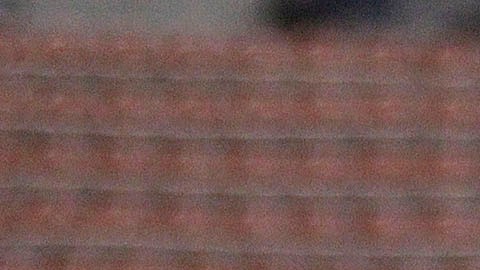 Cristian Calderón es uno de los prospectos mexicanos con más proyección para el futuro.