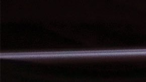 Canelo y Eddy Reynoso fueron nombrados como el boxeador y el entrenador del año.