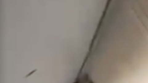 El hombre pidió varias veces al personal que el portorriqueño saliera del lugar.