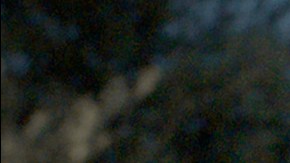 Cerdita ha sido preseleccionada en la categoría de cortometraje de ficción para los Premios Óscar. (Foto suministrada)