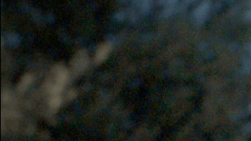 Cerdita ha sido preseleccionada en la categoría de cortometraje de ficción para los Premios Óscar. (Foto suministrada)