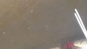 ¿Comenzó la venganza de Ovidio y el Chapito vs quienes los traicionaron?