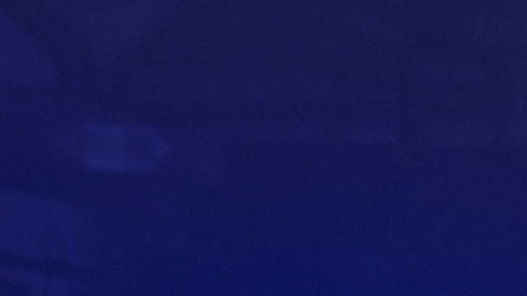Michy Batshuayi, Ian Wright, N'Golo Kante, Moise Kean, Lauren James, Kepa Arrizabalaga y Katie Zelem presentaron el balón con el que se disputará la Euro 2020.