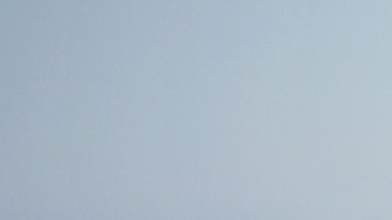 Algunos pasajeros se habrían quejado de la falta de respeto mostrada por la pareja.