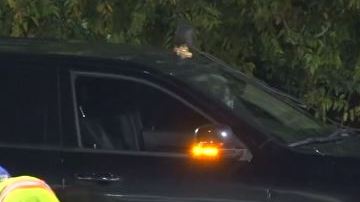 La Policía respondió a reportes de un tiroteo por la calle Lockwood.