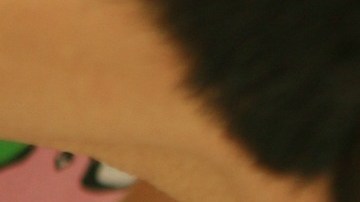 Los veterinarios consideraron que la cola secundaria no entrañaba riesgo alguno para el cachorro.