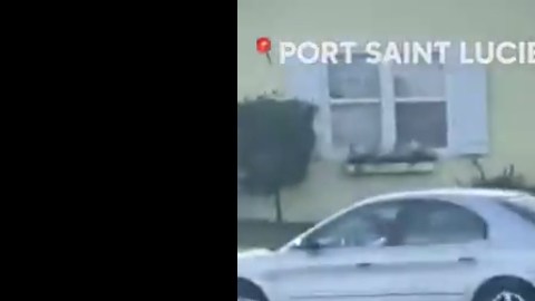 El perro conduciendo el coche en reversa y en círculos estropeó un buzón.
